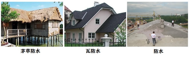 ˮΪˮΪķչ